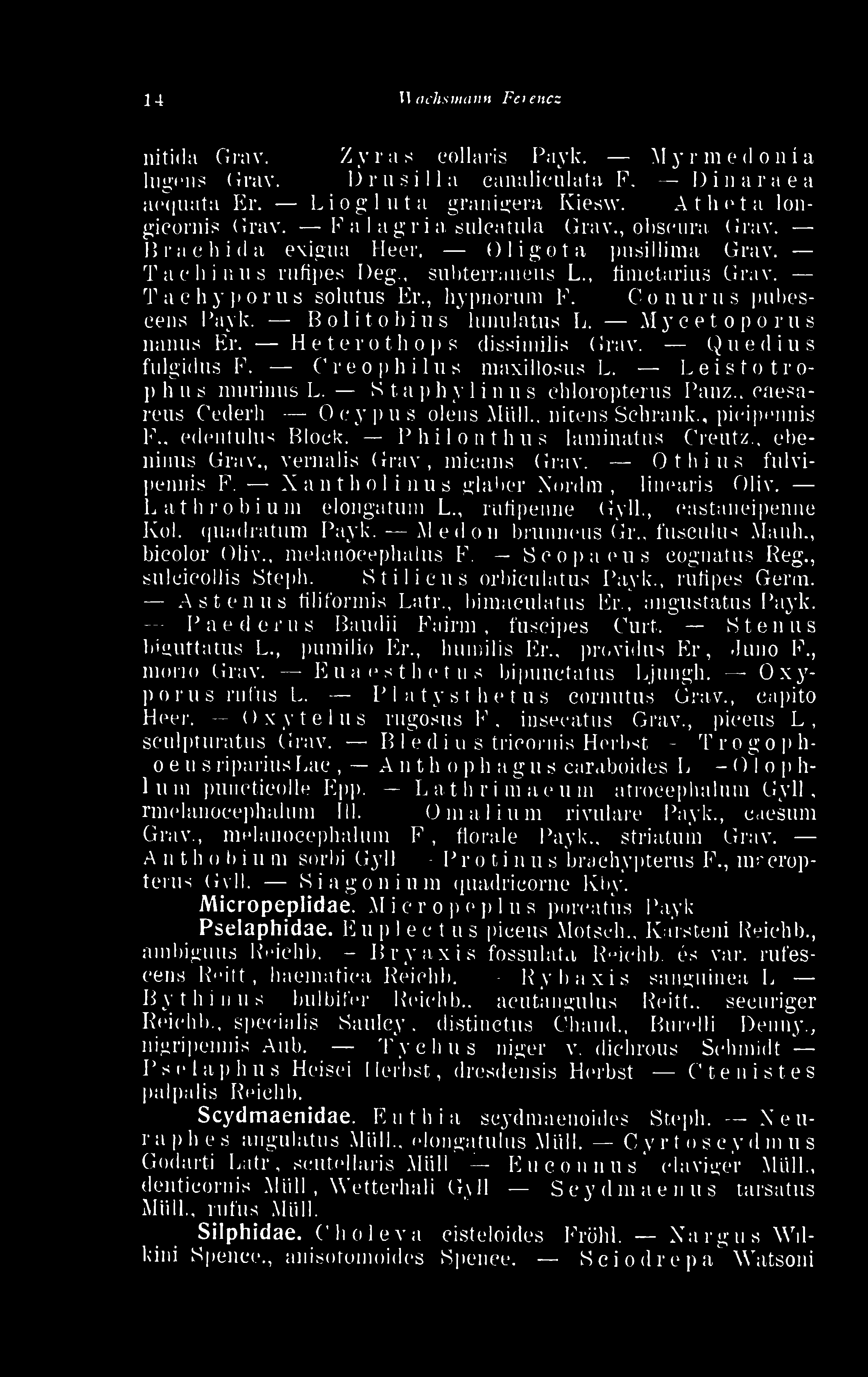 Conurus pubescena Payk. Bolitobius lunulatus L. Mycet oporus nanus Er. Heterothóp s dissimilis Grav. Quedius fulgidua F. Creophilua maxilloaua L.. Leiatotrophua murinus L.