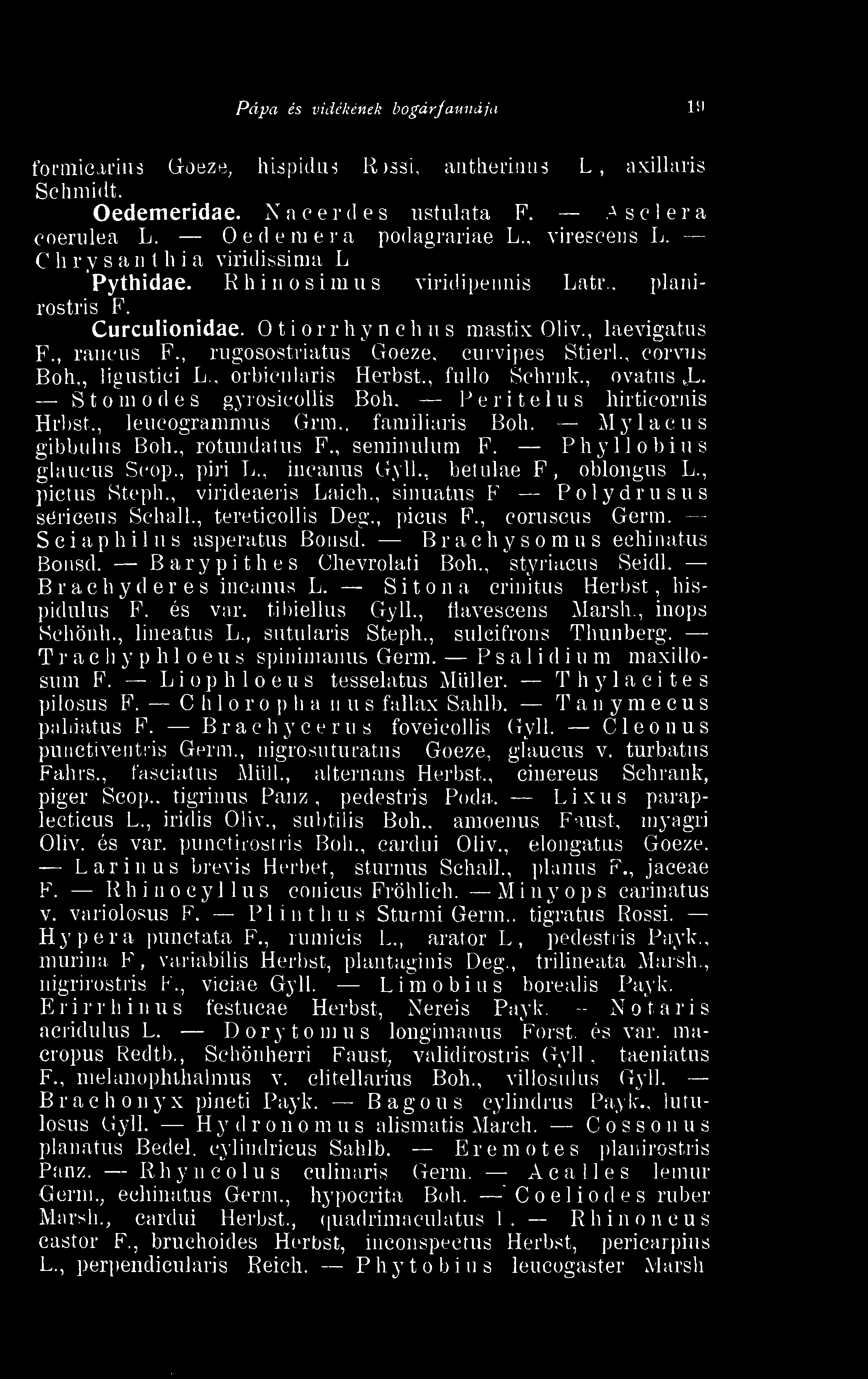 , tereticollis Deg., picus F., coruscus Germ. Sciaphilüs asperatus Bousd. Brachysomus echihatus Bonsd. Barypithes Chevrolati Boh., styriacus Seidl. Brachy deres incanus L.