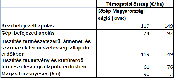A támogatás formája (Kifizetés igénylés) 2.