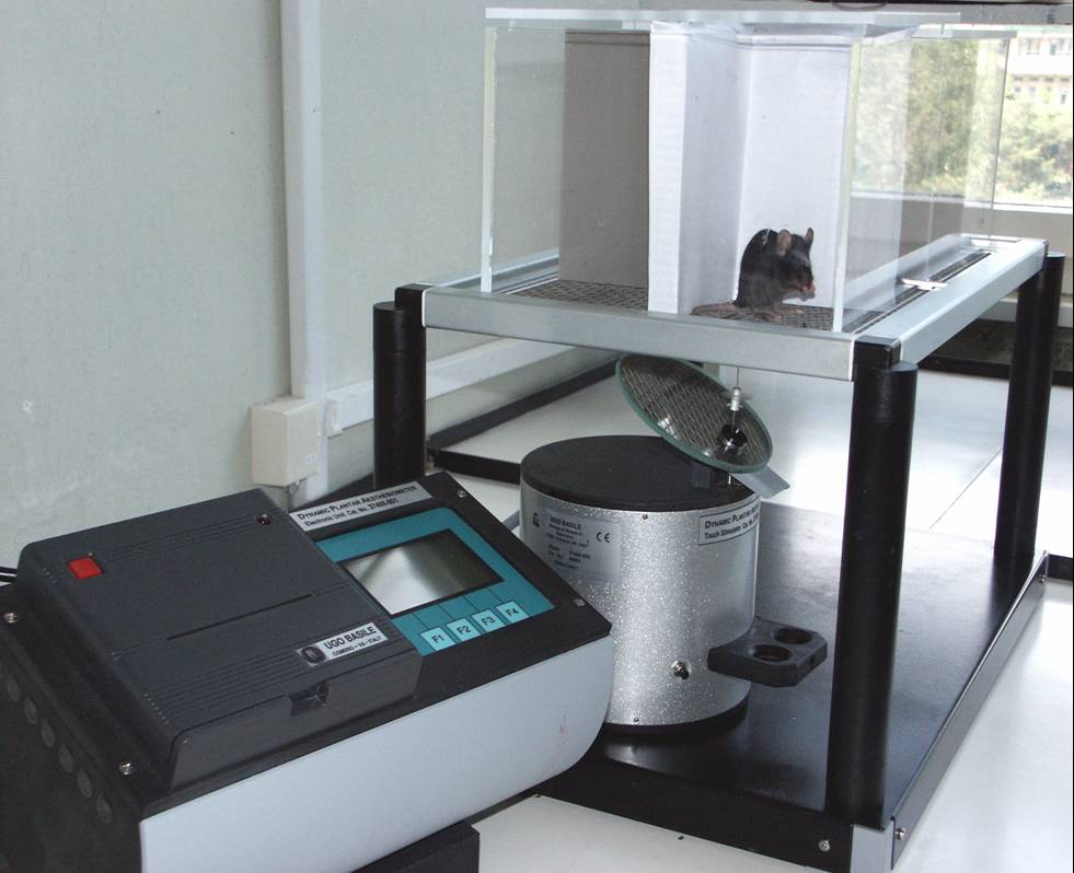 kiindulási helyzetbe, és a kijelzőn leolvasható a mechanonociceptív küszöb grammokban.