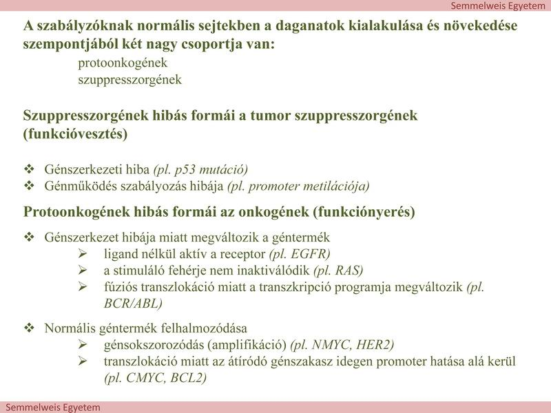 2. ábra A klinikai és a patológiai vizsgálatok azt jelzik, hogy több génhiba kell a klinikailag felismerhető daganatok kialakulásáig. Ezek a hibák fokozatosan jönnek létre és halmozódnak fel.