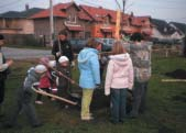 A területen, amely egy új kialakítású lakó részen található, még igen kevés a fa.