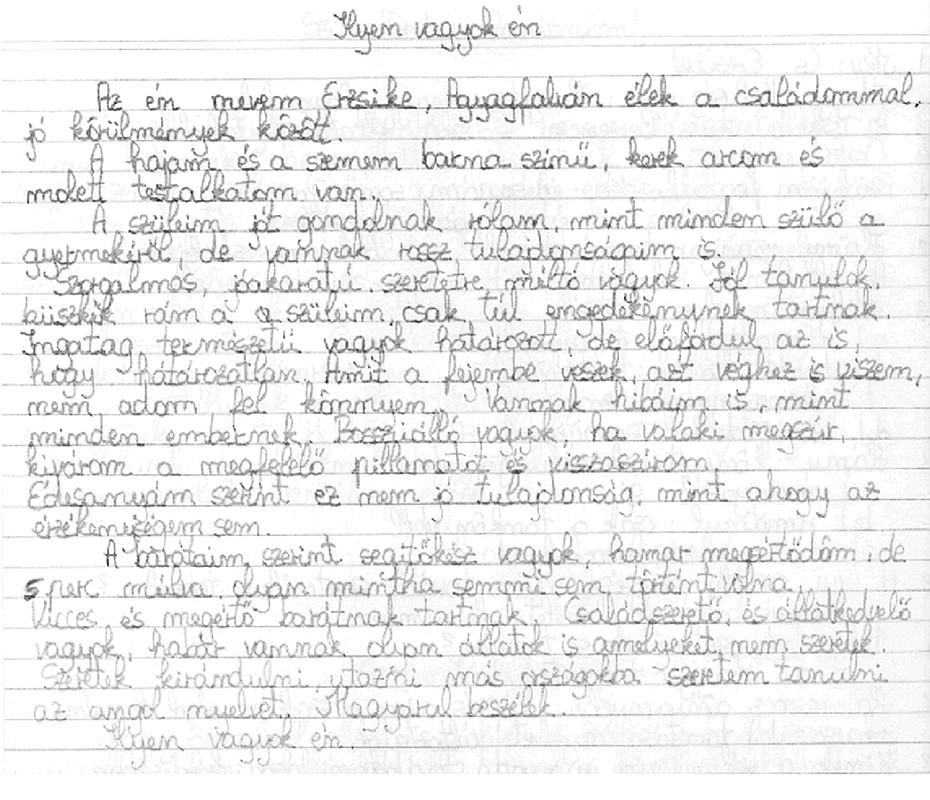10. számú melléklet