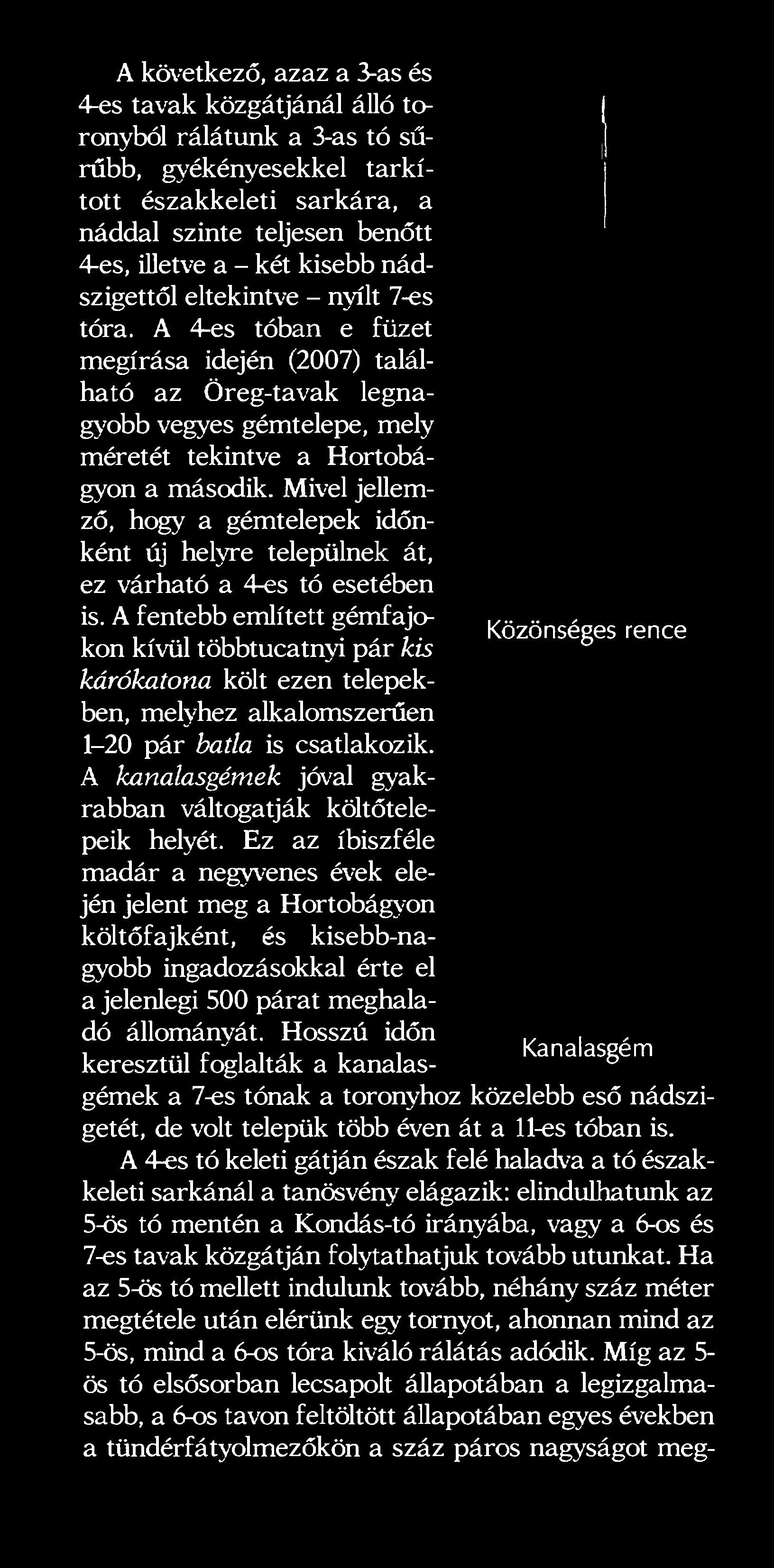 Mivel jellemző, hogy a gémtelepek időnként új helyre települnek át, ez várható a 4-es tó esetében is.