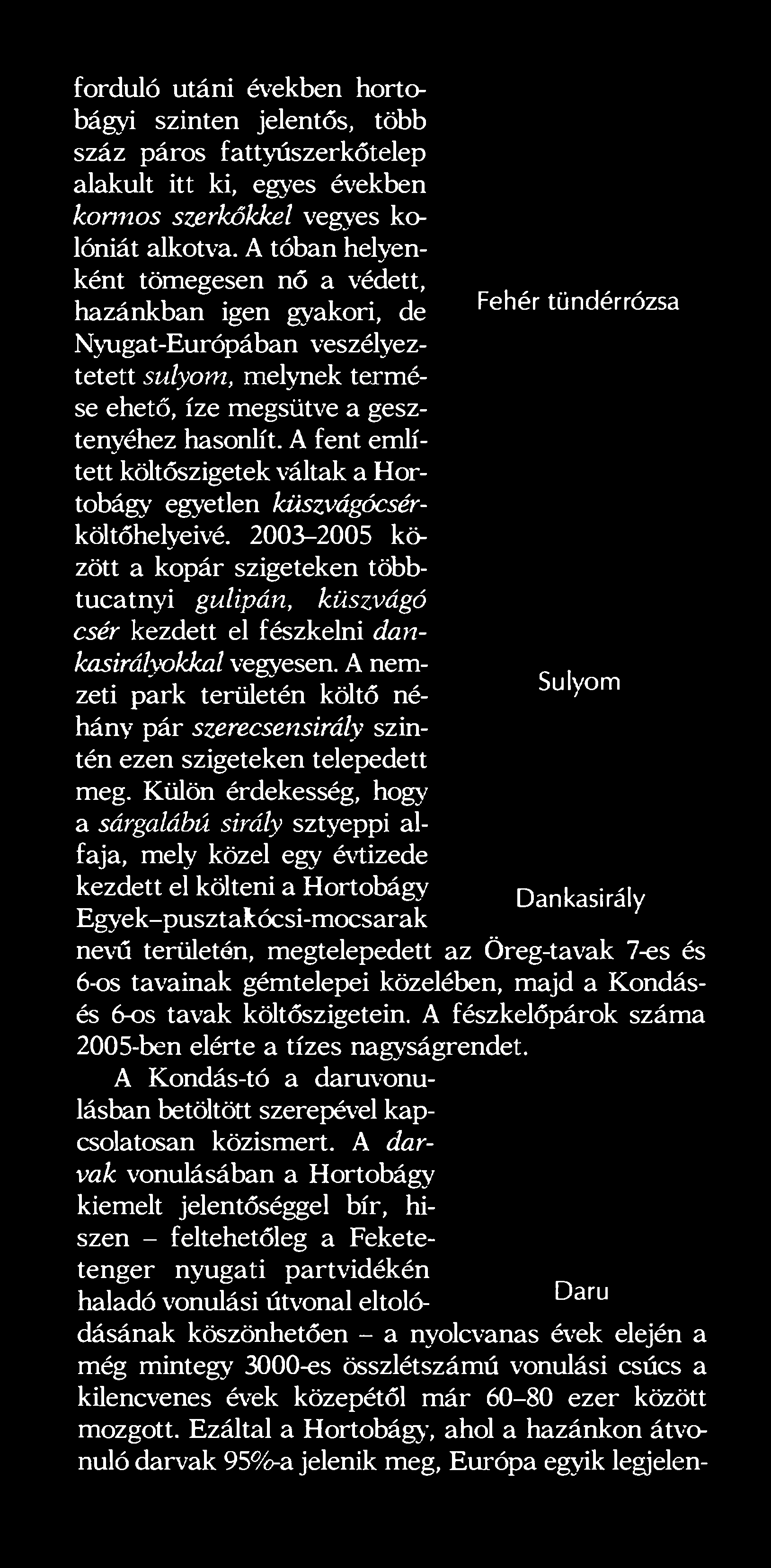 A fent említett költőszigetek váltak a Hortobágy egyetlen küszvágócsérköltőhelyeivé.