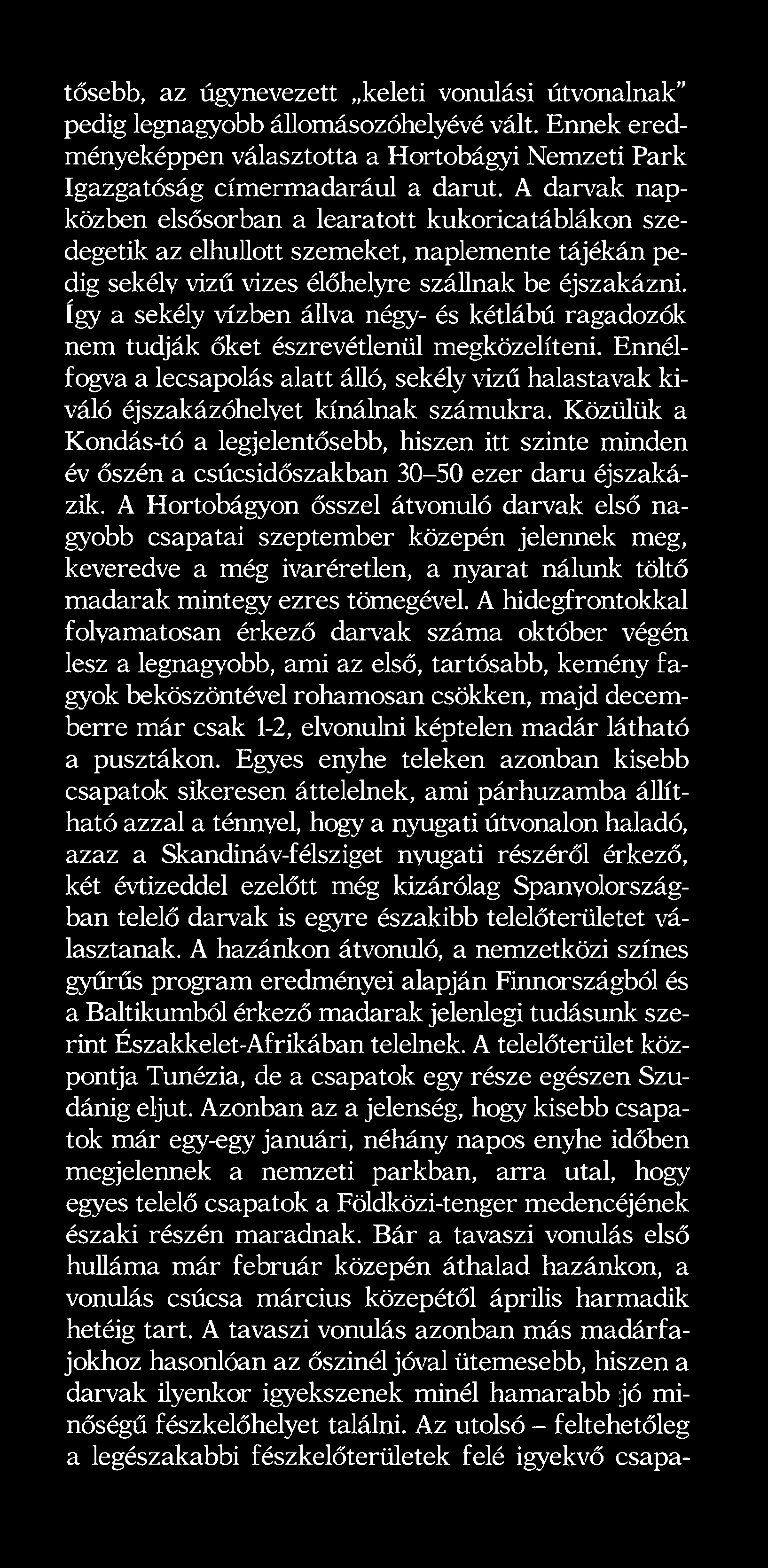 négy- és kétlábú ragadozók nem tudják őket észrevétlenül megközelíteni. Ennélfogva a lecsapolás alatt álló, sekély vizű halastavak kiváló éjszakázóhelyet kínálnak számukra.
