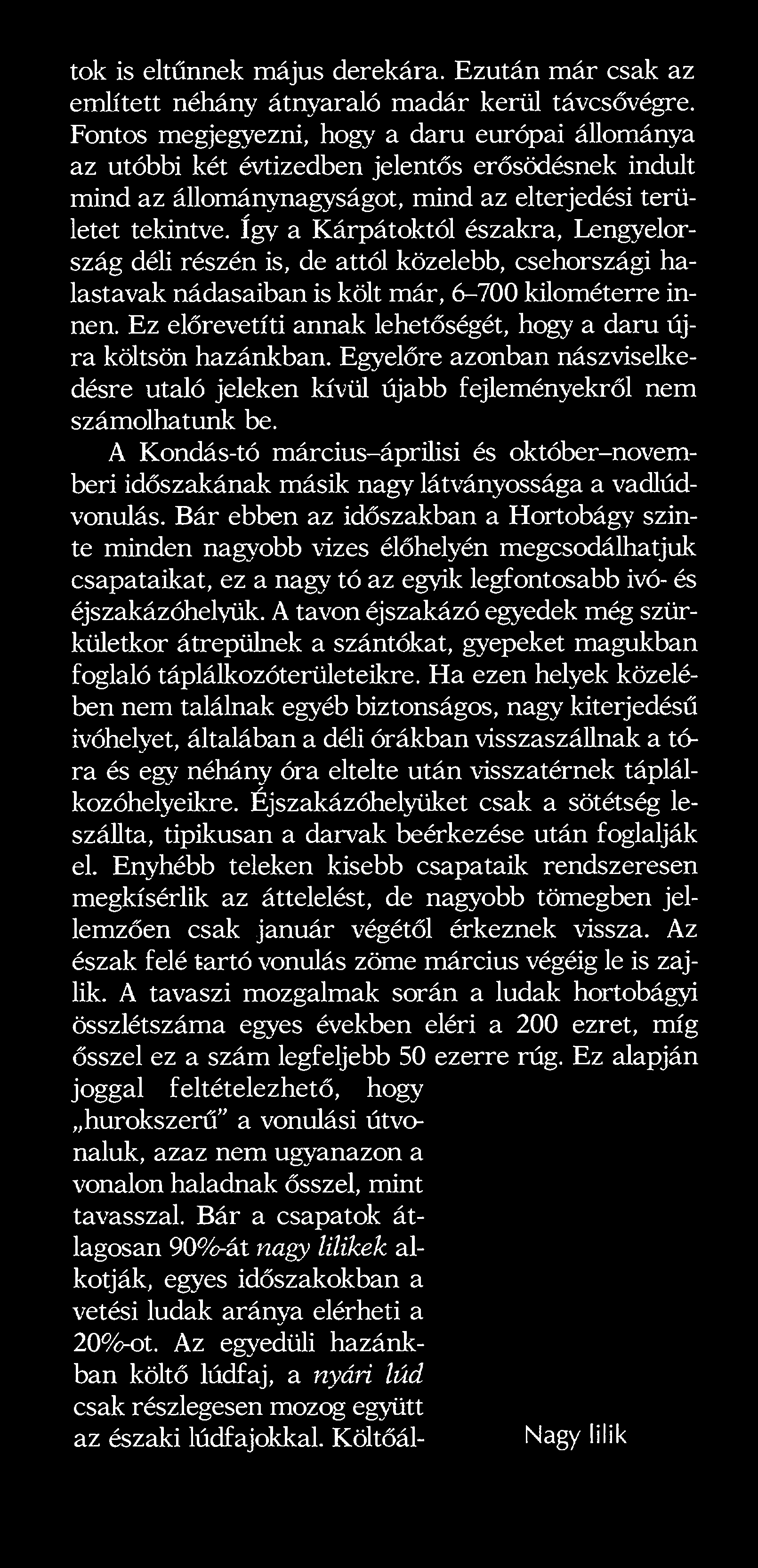így a Kárpátoktól északra, Lengyelország déli részén is, de attól közelebb, csehországi halastavak nádasaiban is költ már, 6-700 kilométerre innen.