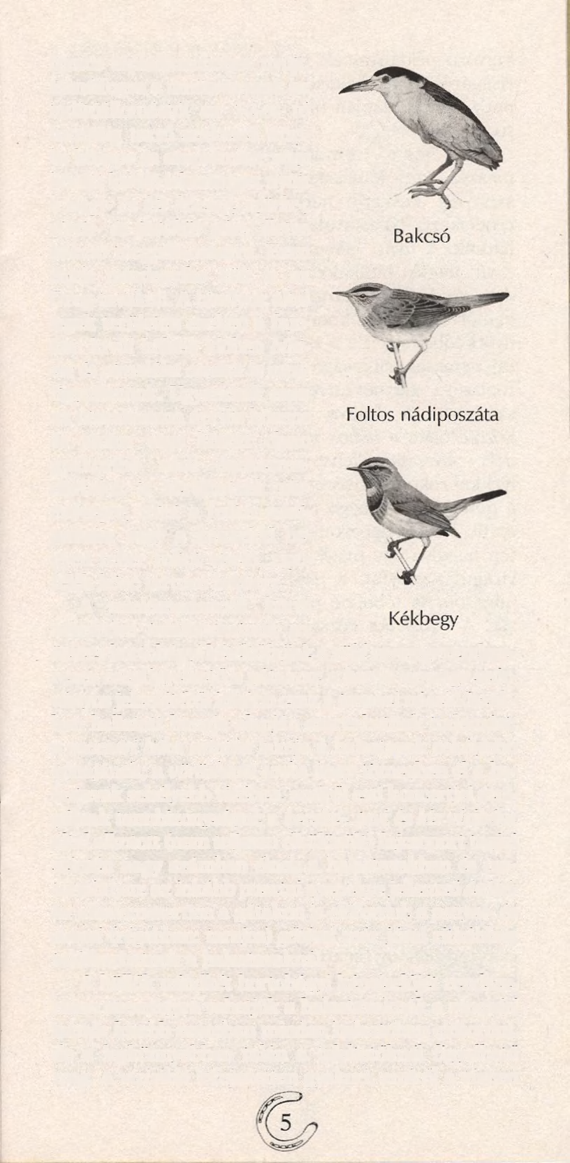 fontos táplálkozóhelyet nyújt.