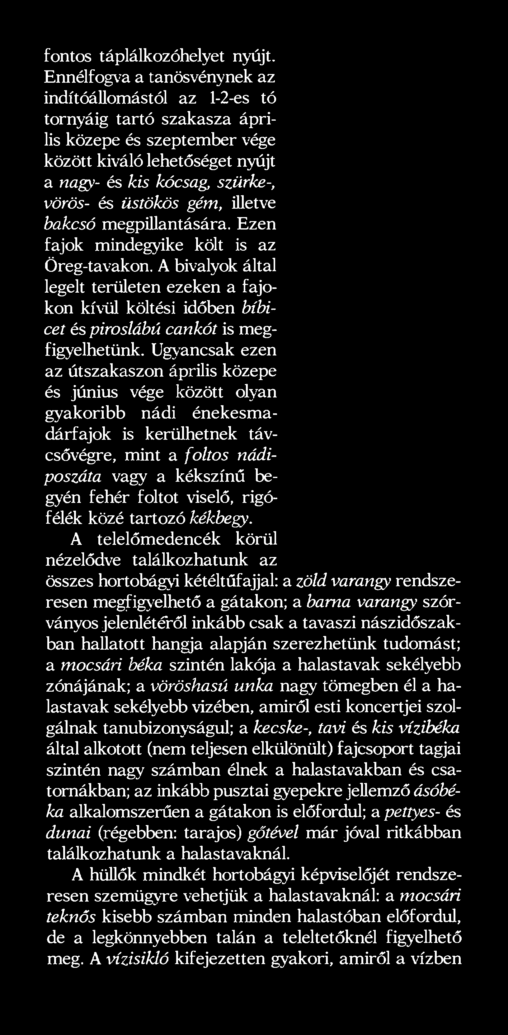 gém, illetve bakcsó megpillantására. Ezen fajok mindegyike költ is az Öreg-tavakon.