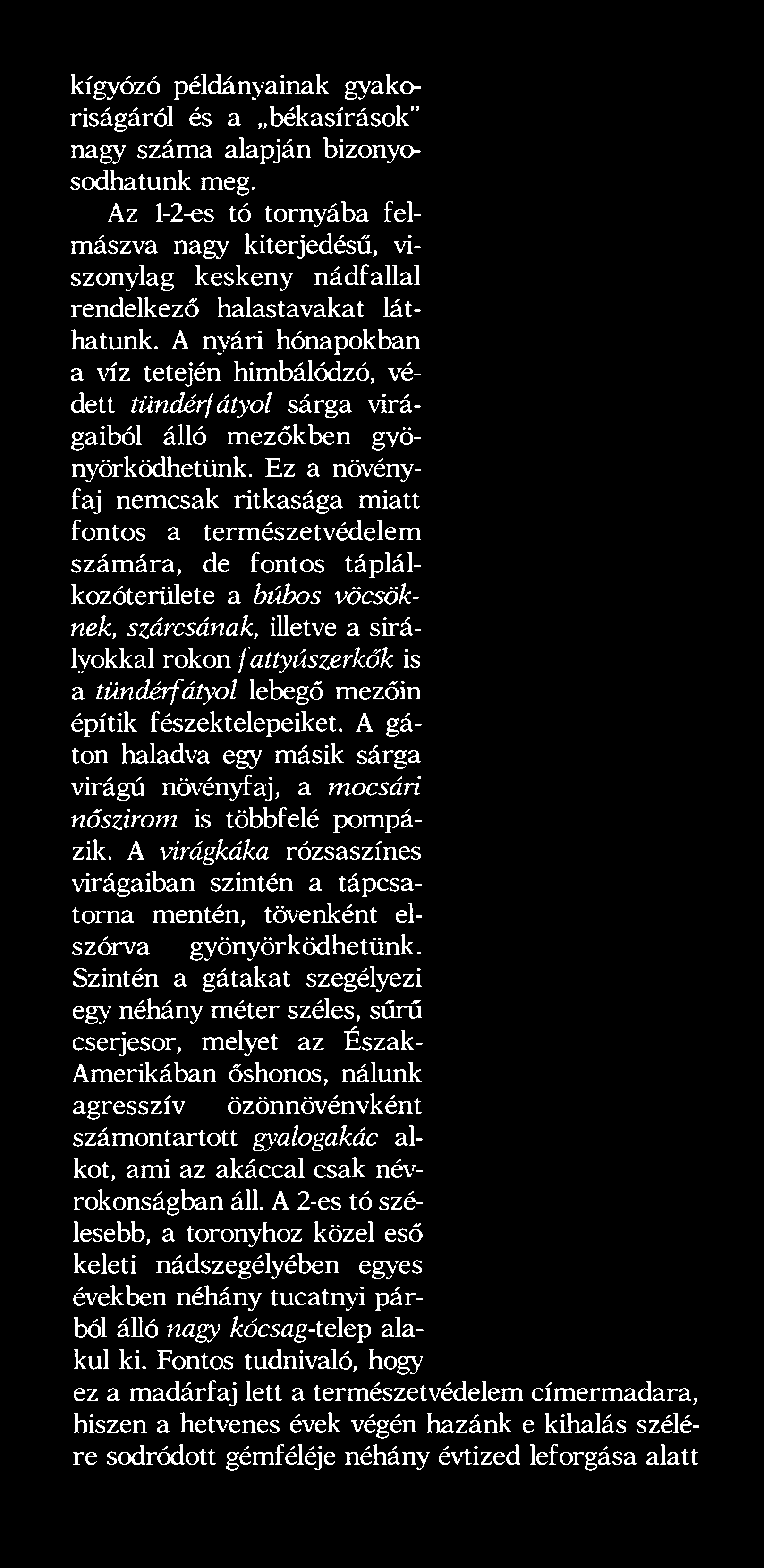 lebegő mezőin építik fészektelepeiket. A gáton haladva egy másik sárga virágú növényfaj, a mocsári nőszirom is többfelé pompázik.