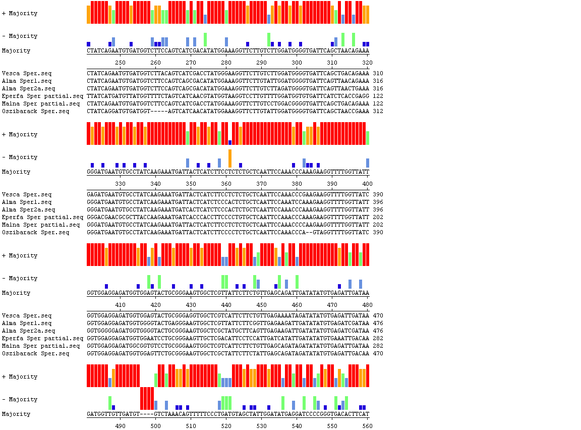 in silico analízise