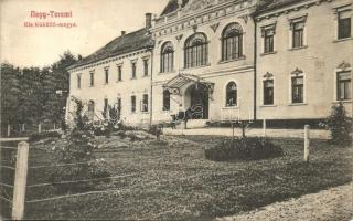 Sannicolau Mare; utca