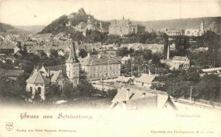 Segesvár, Scha ssburg,