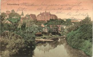 Segesvár, Schas sburg,