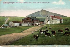 1898 Lipová-lázn e,