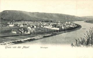 Rheinfels / castle (c