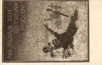 ' kiadja Mag 22028.