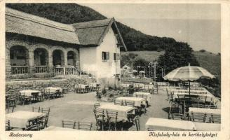 Badacsony, szőlő kert,
