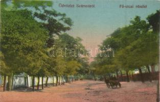 Balatonszárszó, f ürdőzők