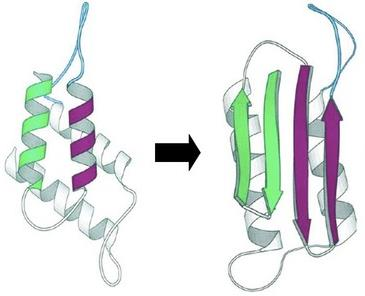 Prusiner (orvosi Nobel-díj 1997) a fertőzés egy új formájának, a prion felfedezésért.