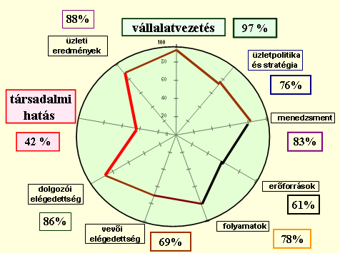 Minőségmenedzsment 231 súlypontjait, illetve mutatja a fontos teljesítményi kategóriákat. A diagram mellé általában 1 1,5 oldalas értékelést mellékelnek. A módszer alkalmazásának lépései: 1.