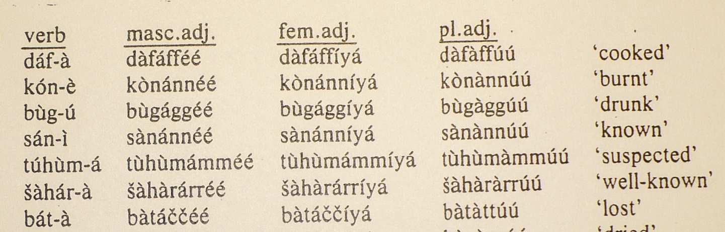 (csádi nyelv, Nigéria; Kenstowicz: Phonology in Generative