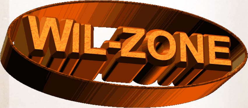 info@wil-zone.