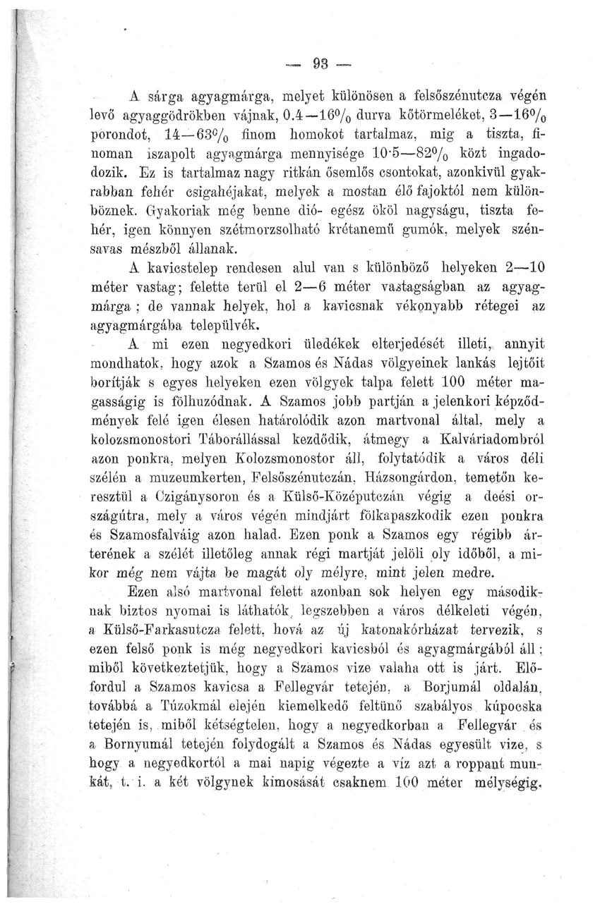 93 A sárga agyagmárga, melyet különösen a felsőszénutcza végén levő agyaggödrökben vájnak, 0.