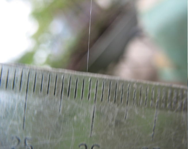 ábra, ahol egy textilipari alapanyag, a póksenyem fényképe látható. 5.1. ábra: pókháló a természetben 5.2.