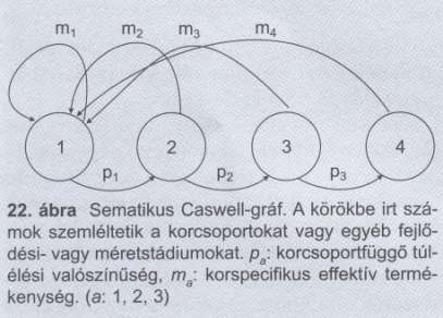 Leslie modell Pl.