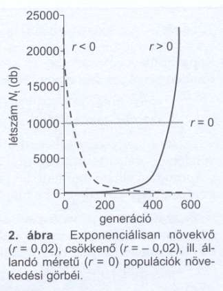 Populációnövekedési modellek Az exponenciális növekedés várható, ha egyedenkénti növekedési ráta (r) állandó és