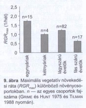 Populációnövekedési modellek Növényeknél vegetatív relatív