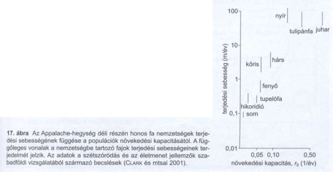 Exponenciális növekedés Jellemző a nagy