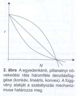 Szabályozott populáció növekedés Malthaus: élőlények exponenciálisan, táplálék lineárisan növekszik A populációk növekedését szabályozó tényezők olyan környezeti tényezők
