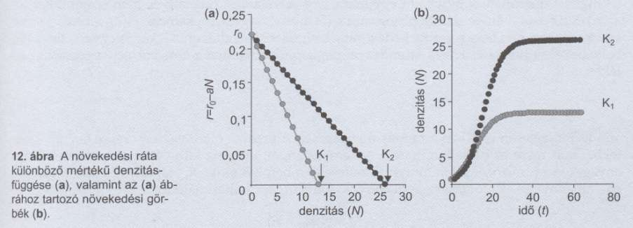 Logisztikus modell dn K-N ----- = r 0 *N * ----------- K=r 0 /a dt K Minél erősebb