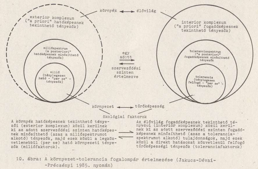 2. Komplementációs elv - külső és belső környezet együttes kapcsolata ható és hatást érzékelő exterior-interior komplexum, környék-élővilág -exterior komplexum, hatóképesnek tekinthető tényezők,
