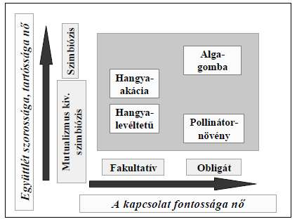 Kölcsönösség-mutualizmus A mutualizmus