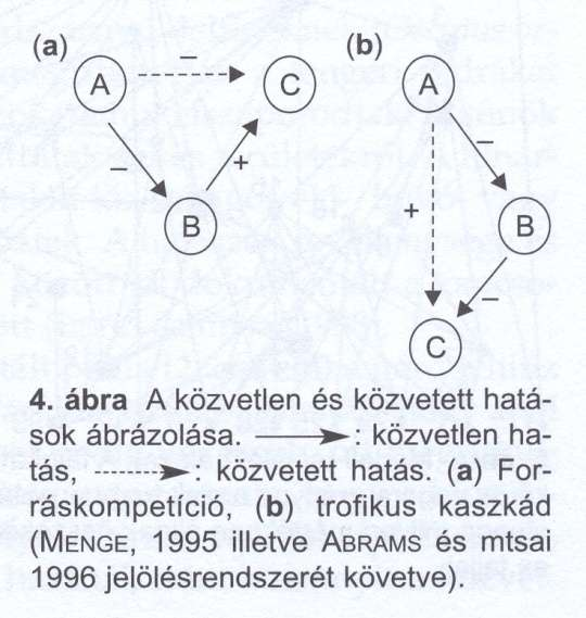 . - Táplálkozási, trofikus kapcsolatok -