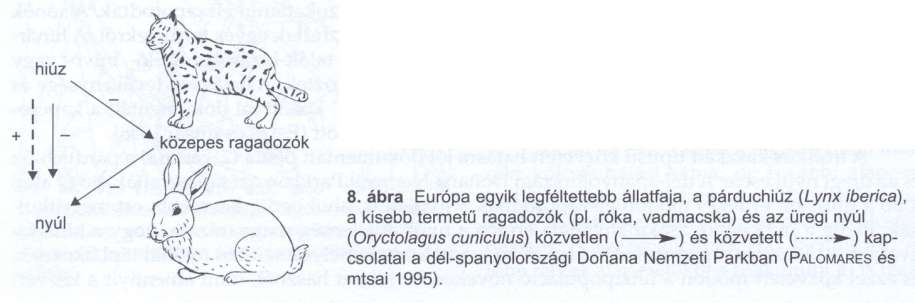 - Nemtrofikus kapcsolatok - Minden egyéb - Forrás