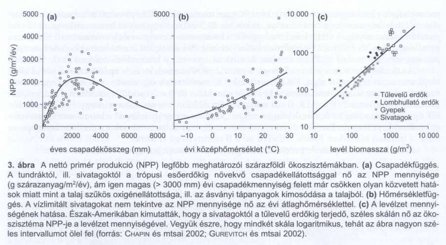 . Az NPP főbb meghatározói: csapadék, hőmérséklet, levélzet mennyisége - A bolygó felszínének 80%-án (nyílt óceánok, sivatagok) kevés biomassza - Trópusi