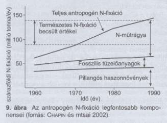 Emberi hatásra jelentősen megnőtt a