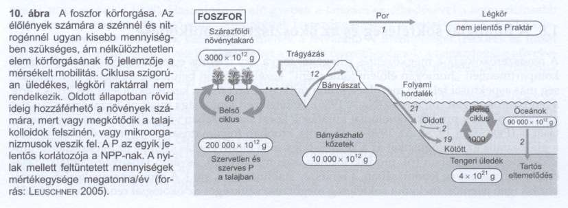 Biogeokémiai ciklusok Foszfor Kőzetek (apatit)