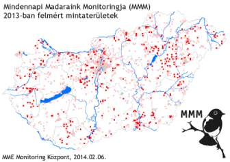 5 km UTM négyzetben lévő, véletlen módon elhelyezkedő 15 db 100 m sugarú területen számolják az 5 perc alatt látott madarak számát 140% Molnárfecske