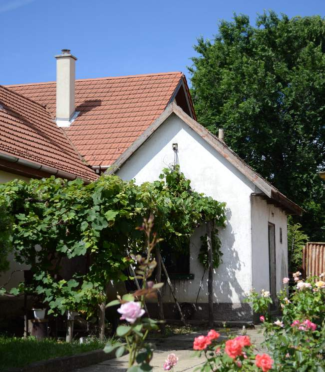 Elsődlegesen tehát az épület stílusához, üzenetéhez, közvetített érzetéhez illeszkedő kertépítészeti megoldásokat alkalmazzunk.