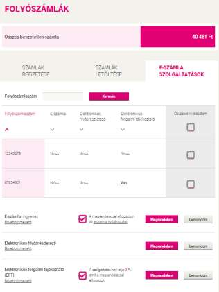 FOLYÓSZÁMLA-KEZELŐ, ADMINISZTRÁTOR E-számla szolgáltatások Sok folyószámlás eset Az előzőekben részletezett képernyőhöz képest a sok folyószámlás megjelenése a képernyőnek némileg eltérő: - A fülek