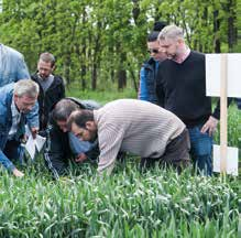 Vetés: Syntech, Agrofil segítségével Farmjaink előzetes egyeztetés alapján