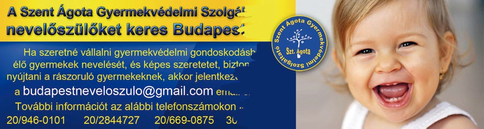 Szolgáltató