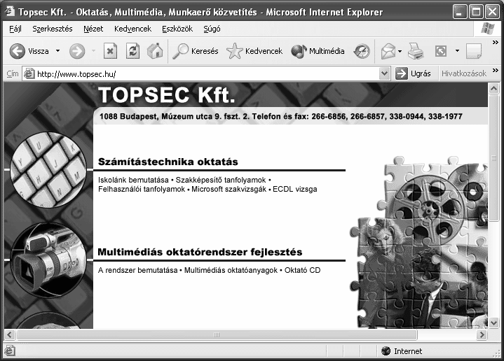 Információ és kommunikáció AZ INTERNET EXPLORER HASZNÁLATA A Microsoft stratégiájának része, hogy az internet minél több felhasználó számára hozzáférhető legyen.