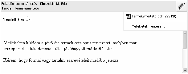 Beérkezett üzeneteink különféle fájlokat is tartalmazhatnak. Az üzenetekkel együtt küldött fájlokat csatolt fájloknak vagy mellékletnek nevezzük.