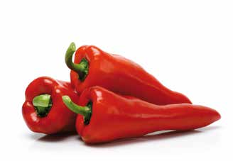 Kápia paprika Porteca RZ F1 Fóliás és szabadföldi termesztésre is javasolt, tálkás méretet biztosító kápia fajta. Erős gyökérzete révén extenzívebb termesztést tesz lehetővé.
